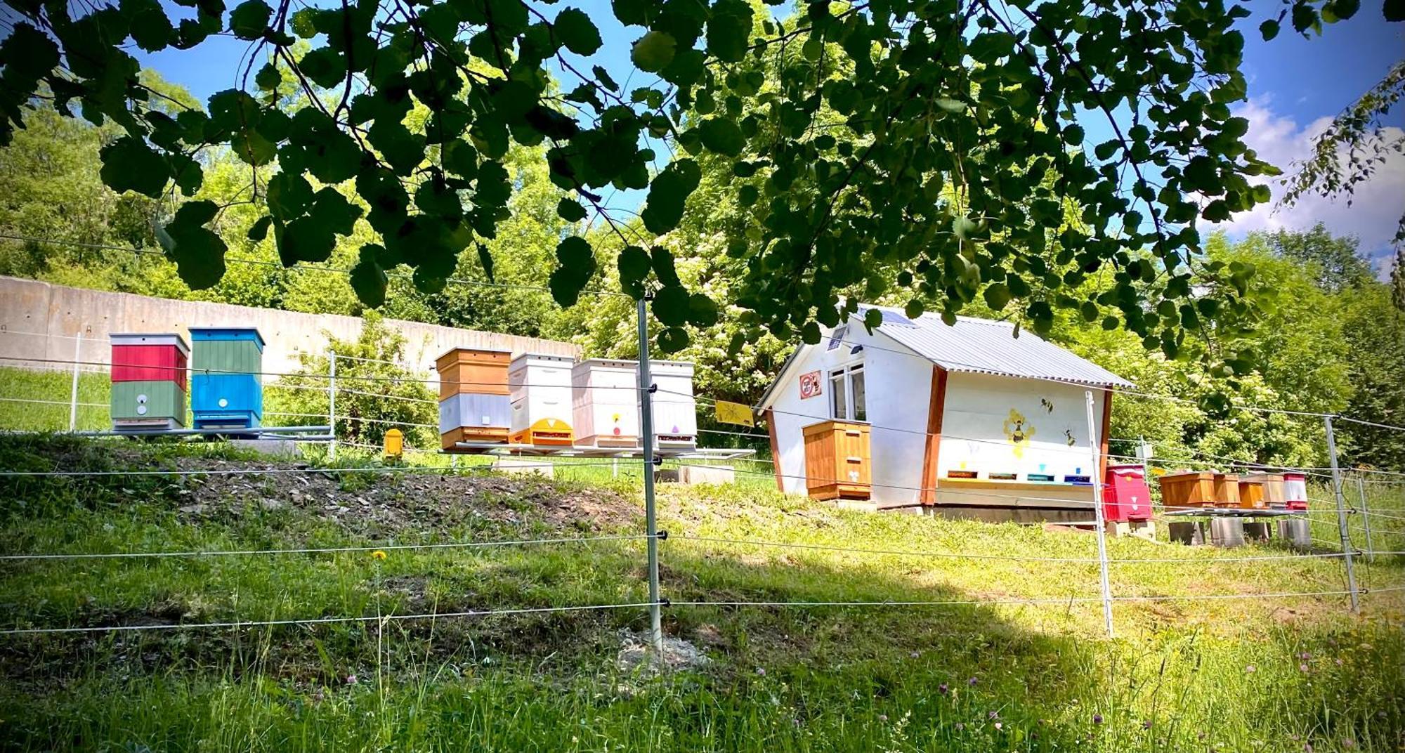 Apartmany Svrcinky Liptovsky Mikulas Exterior photo